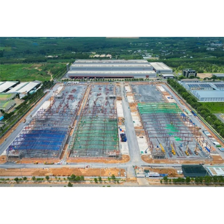 Steel Structure Building Design